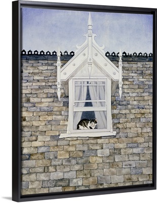 St.Helier Dormer Cat