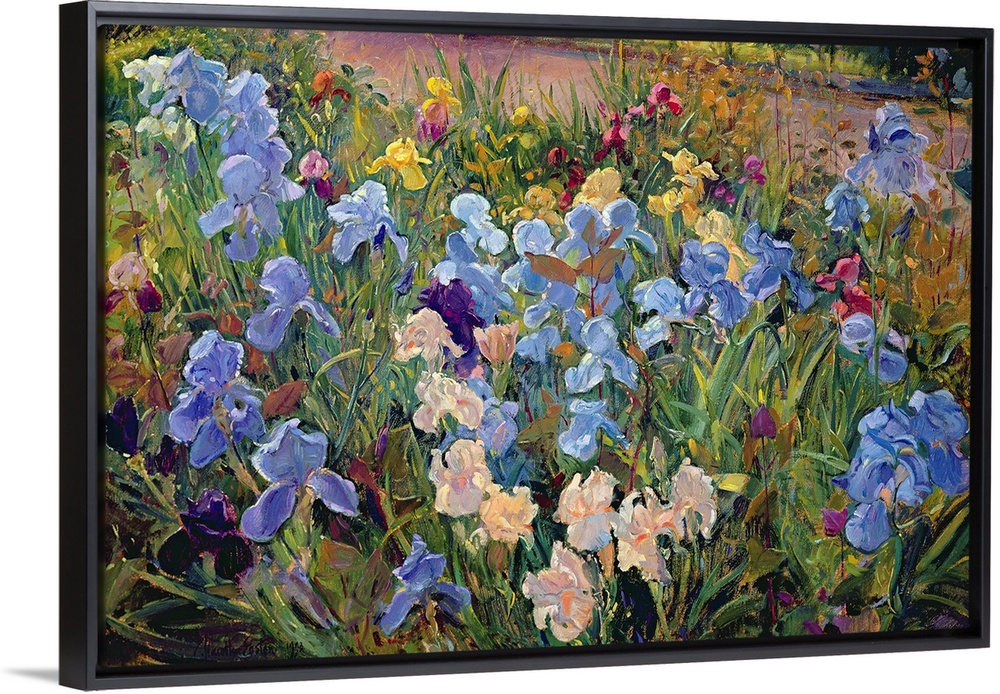 A realistic photograph of a variety of multicolor irises growing beside a road in spring.