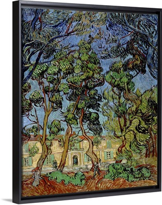 Trees In The Garden Of St. Paul's Hospital, 1889