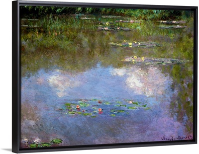 Water Lilies, The Cloud