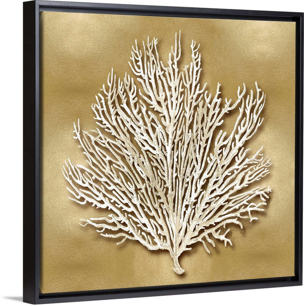 Square beach decor with white coral on a gold background.