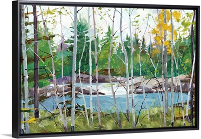 Oxtounge Rapids