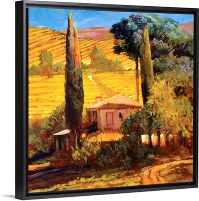 Tuscan Morning Light