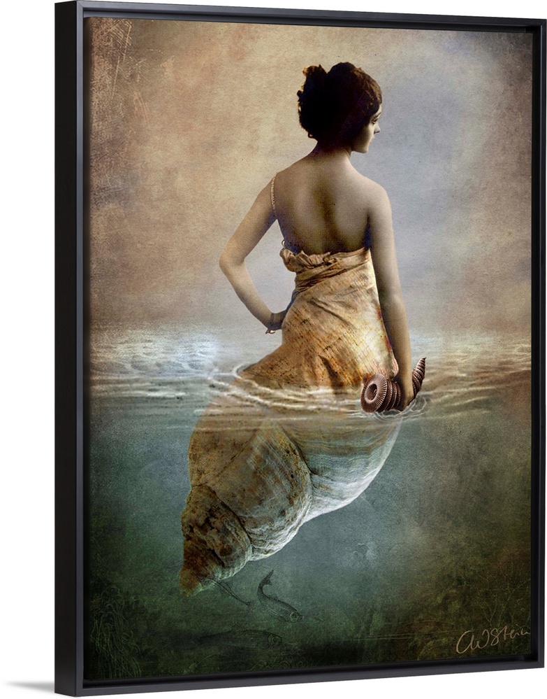 Conceptual art of a woman who is half shell, floating in water.