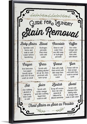 Stain Removal Guide