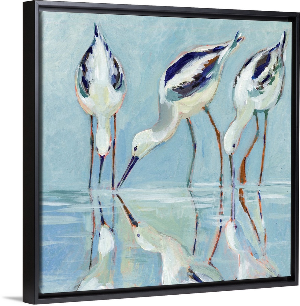 A stately and elegant of stilt birds linger at water's edge.