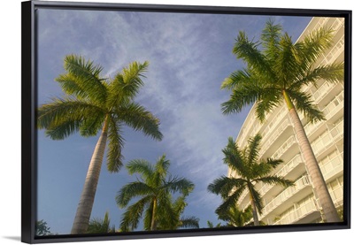 Bahamas, Grand Bahama Island, Lucaya Resort, Westin Lucaya Resort