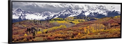 Colorado, San Juan Mountains. Autumn foliage at Dallas Divide