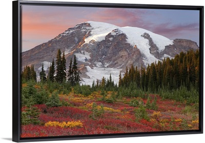 Mount Rainier National Park, sunset highlights on mountain and meadow