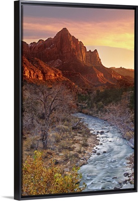 The Watchman and Virgin River at sunset.