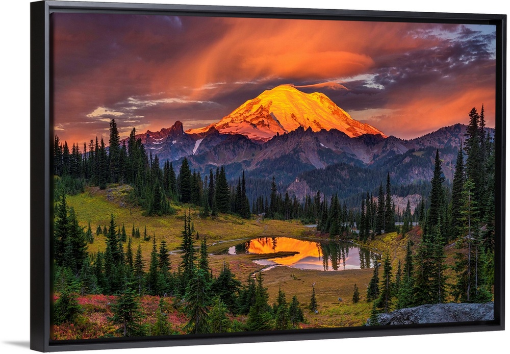 USA, Washington, Mt. Rainier National Park. Mt. Rainier at sunrise.
