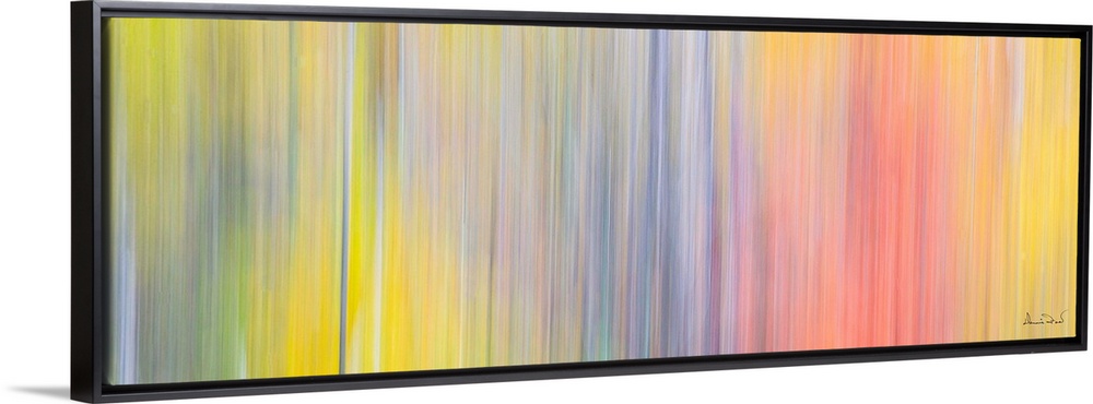 Slow motion color pattern of trees and Fall colors in Riding Mountain National Park, Manitoba, Canada.