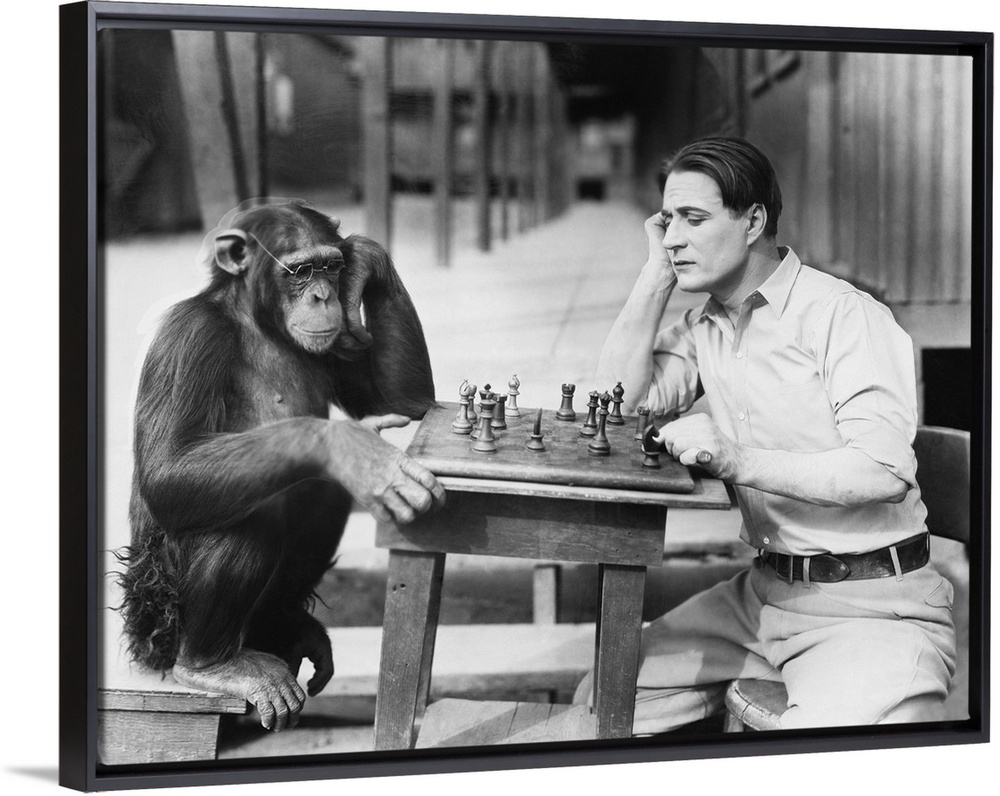 Man playing chess with monkey.