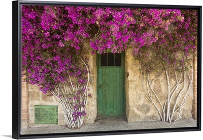 The Architecture Of The Barcelona - Narrow Streets, Green Door