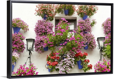 Typical Window Decorated Pink And Red Flowers, Spain, Mediterranean