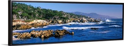 CA, Monterey Peninsula, Carmel, 17-Mile Drive at Pebble Beach, Harbor Seals