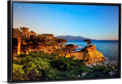 CA, Monterey Peninsula, The silhouette of the famous Lone Cypress Tree