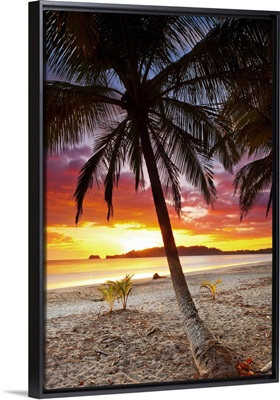 Costa Rica, Guanacaste, Caribbean,  Nicoya Peninsula. Playa Carrillo at sunset