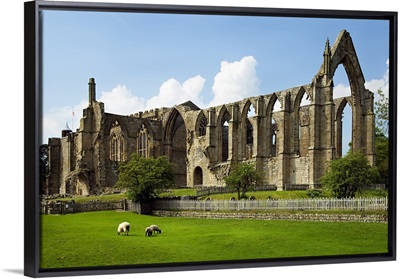 England, Yorkshire, Yorkshire Dales National Park, Bolton Abbey, old ruin of a church