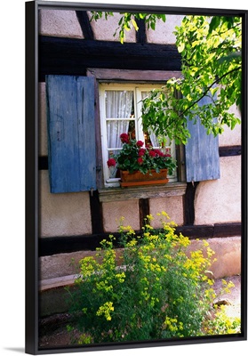 France, Alsace, Ecomusee d'Alsace