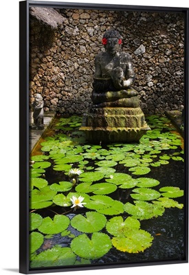 Indonesia, Bali, Ubud town, lotus flowers in Amandari Resort