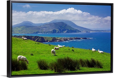 Ireland, Donegal, Inishowen Peninsula, landscape near Pollan Bay
