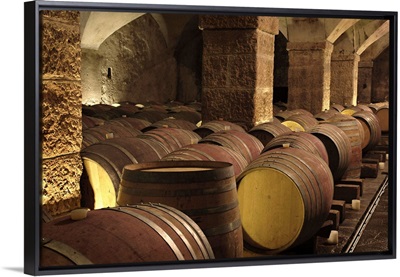 Italy, Dolomites, Trentino, San Michele all'Adige town, Cantina Endrizzi