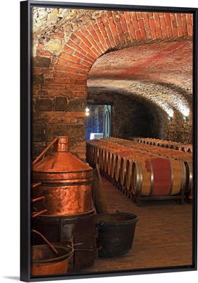 Italy, Friuli-Venezia Giulia, Collio, Capriva del Friuli, Spessa Castle, wine cellar