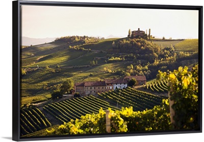 Italy, Piedmont, Langhe, Barolo, Mediterranean area, Cuneo district, Vineyards