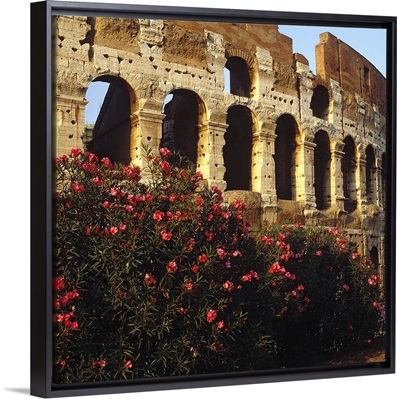 Italy, Rome, Coliseum