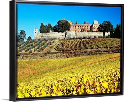 Italy, Tuscany, Chianti, Mediterranean area, Firenze district, Brolio Castle