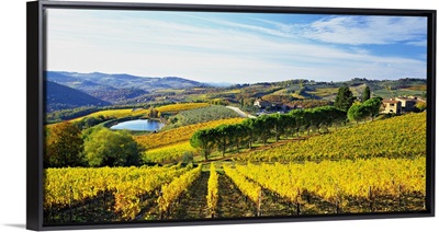 Italy, Tuscany, Chianti, Panzano in Chianti, Landscape close to the village