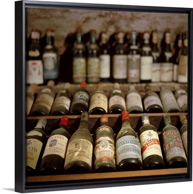 Italy, Tuscany, Lucca, Collection of wine in the Vanni cellar