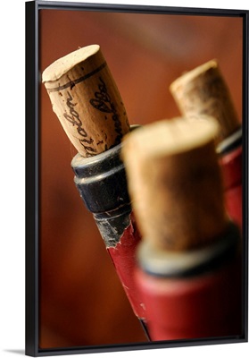 Italy, Veneto, Wine corks, Ornella Molon Traverso Winery, Campo Di Pietra