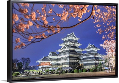 Japan, Chubu, Matsumoto, Matsumoto Castle During The Cherry Blossom, Sakura, By Night