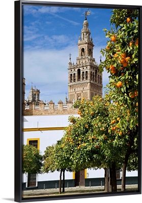 Spain, Andalusia, Seville, Giralda Tower with orange trees