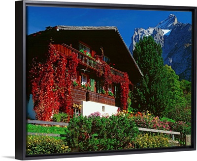Switzerland, Bern, typical chalet and view towards Wetterhorn mountain