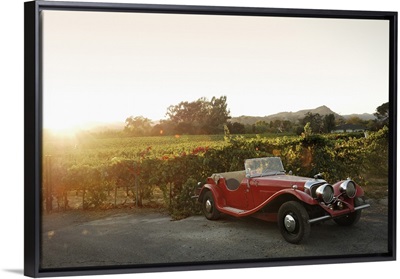 USA, California, Napa Valley, Vintage car and vineyard