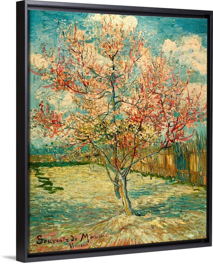 Peach Blossoming (Souvenir de Mauve), by Vincent Van Gogh, 1888, 19th Century, oil on canvas, cm 73 x 59,5 - Netherlands, ...