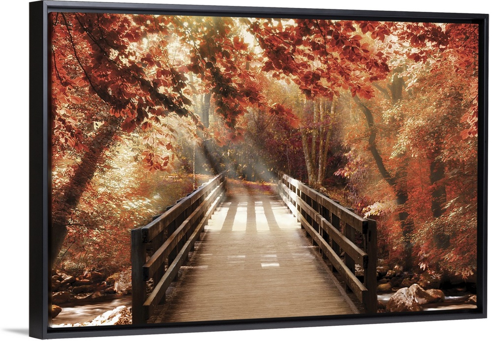 Photograph of a bridge going over a creek in woods covered in red Fall trees with beautiful sunlight.