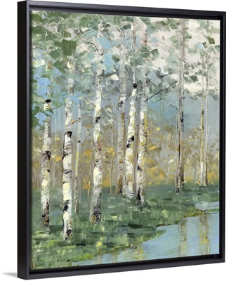 Birch Reflections I