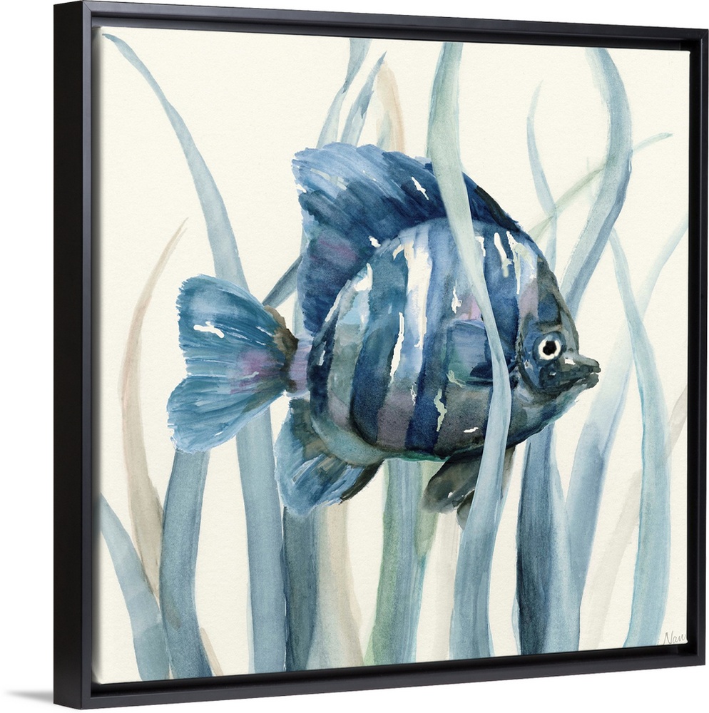 Square indigo watercolor painting of a fish underwater in seagrass on an off white background.