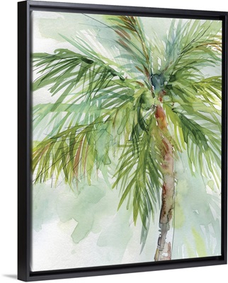 Palm Breezes II