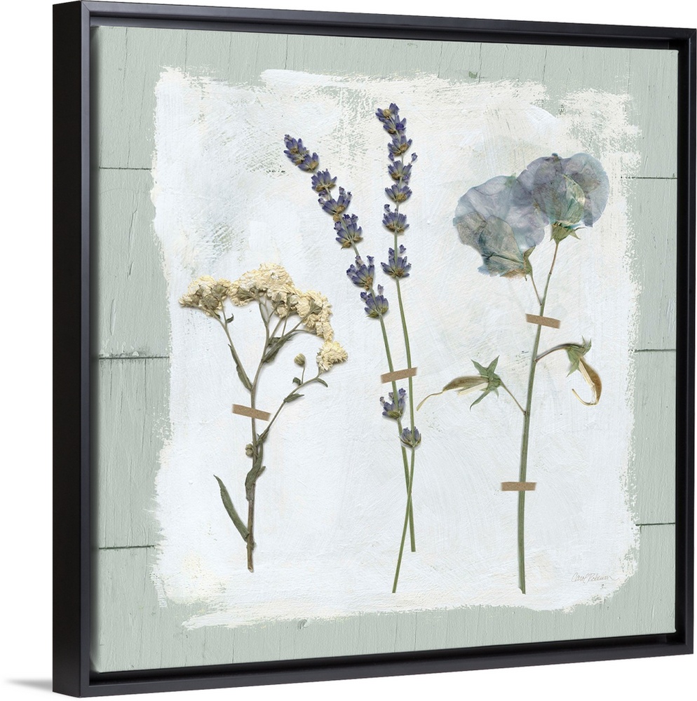 Square decor with three dried flowers pressed onto a painted white square with a pale blue shiplap background.