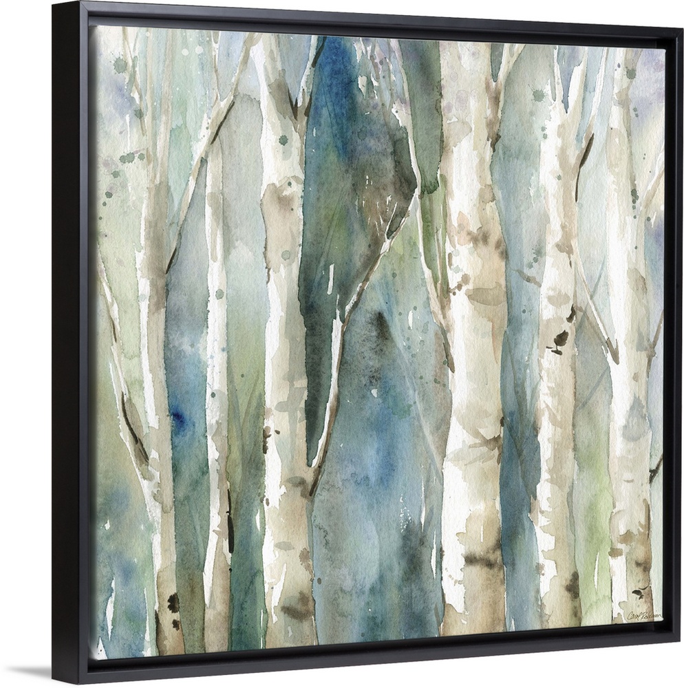 Square watercolor painting of Birch trees with a blue and green toned background.