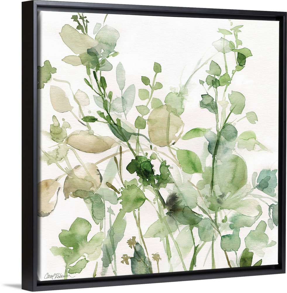 Square watercolor painting of a sage garden in shades of green and beige on a white background.