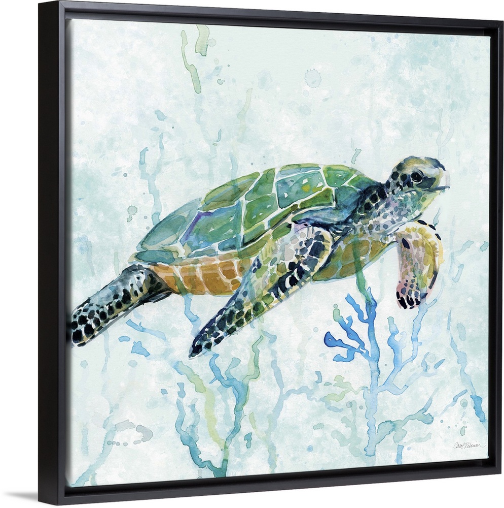 Square watercolor painting of a sea turtle swimming amongst seaweed in shades of blue and green.