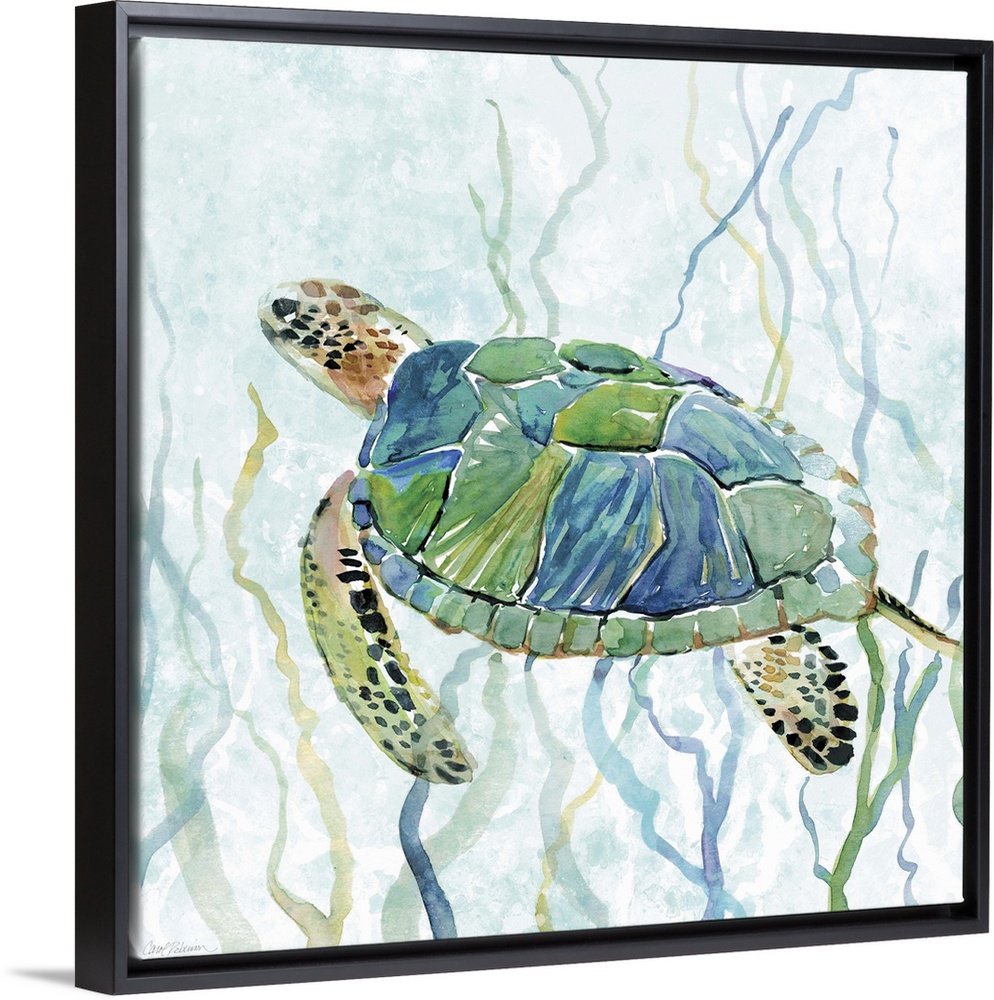 Square watercolor painting of a sea turtle swimming amongst seaweed in shades of blue and green.