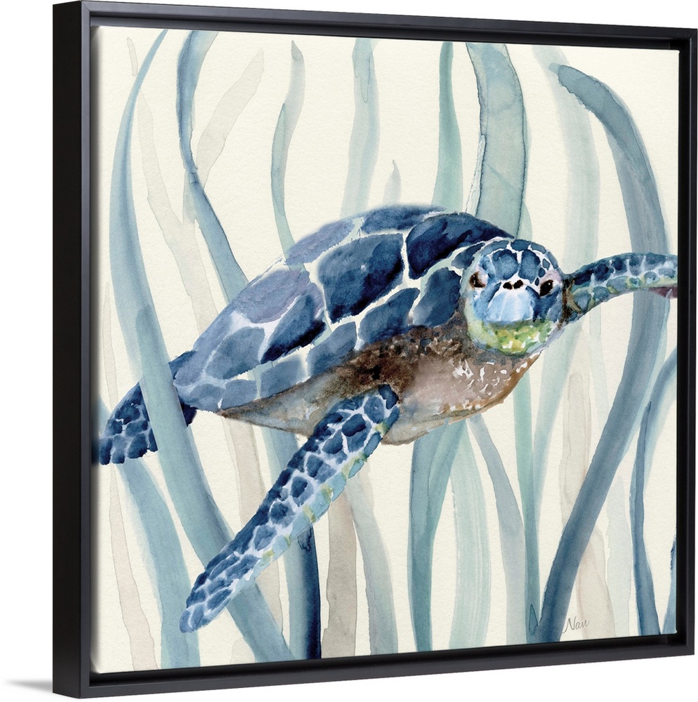 Square watercolor painting of a sea turtle  swimming through seagrass in shades of blue.