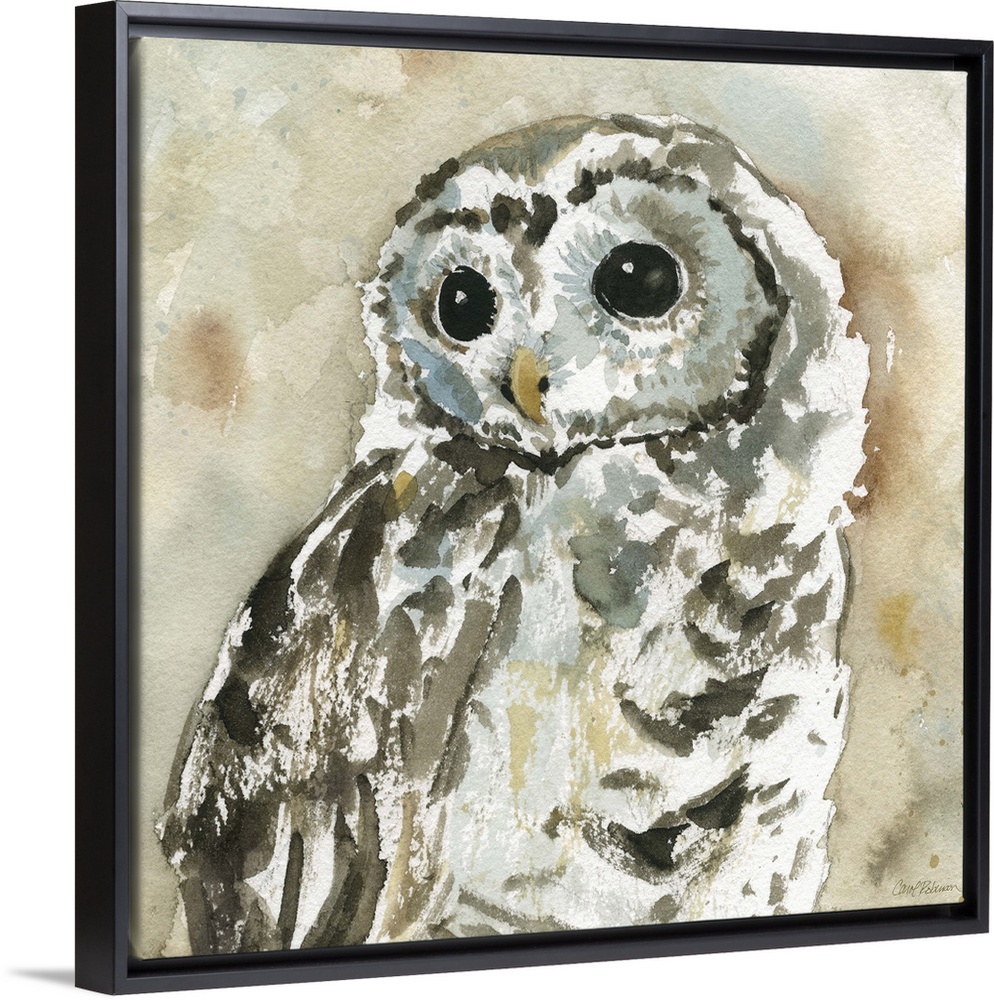 A watercolor painting of an abstract  woodland owl.